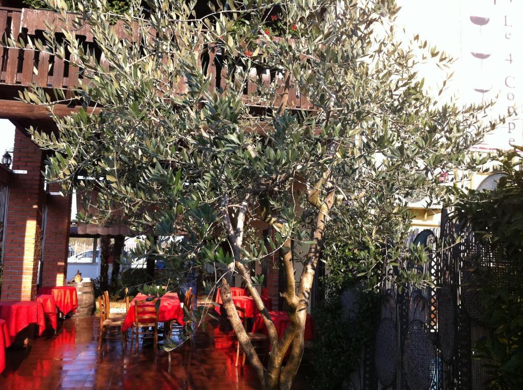 Hotel Manuela Le Quattro Coppe